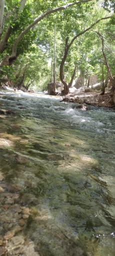 عکس مهریان