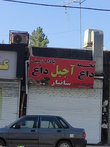 عکس آجیل داغ سانیار