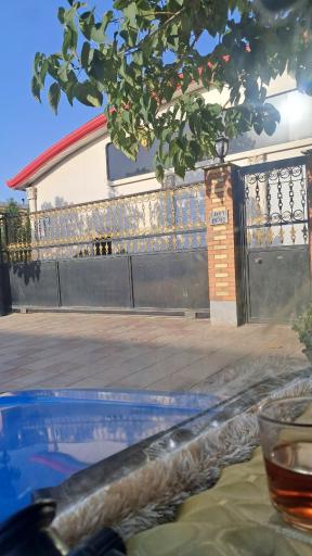 راستین دانه پارس