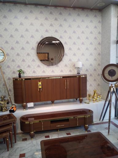 عکس نمایندگی دیمولکس 