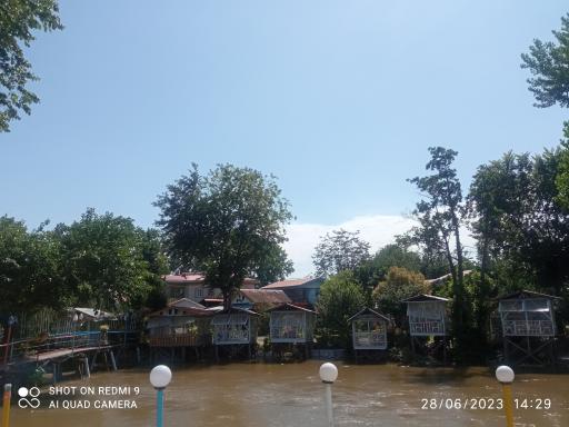 عکس پل چوبی