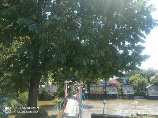 عکس پل چوبی