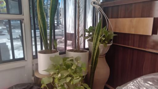 عکس کافه رسپینا