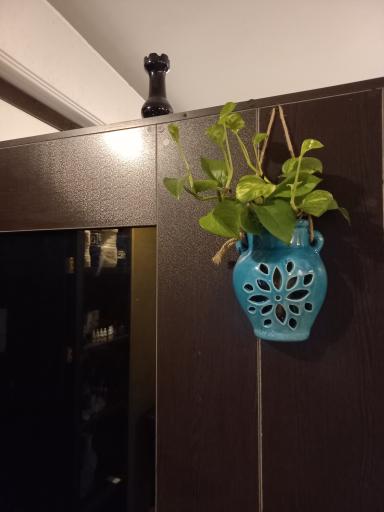 عکس سالن ماساژ مالش تن