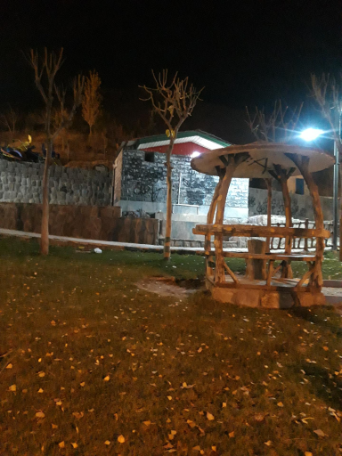 سرویس بهداشتی