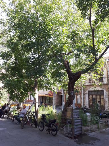 عکس سرای حاج سید حسین قدیم