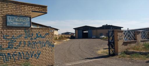 عکس شرکت شانه و کارتن لیا 