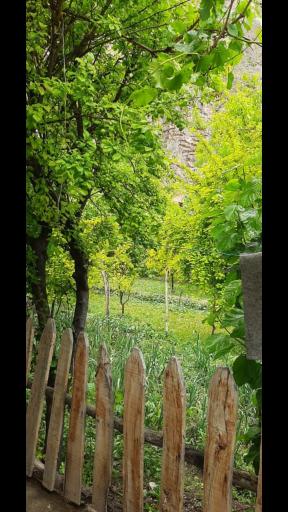 عکس اقامتگاه خونه باغ