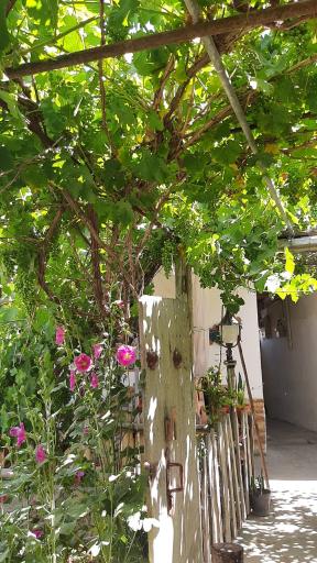 عکس اقامتگاه خونه باغ