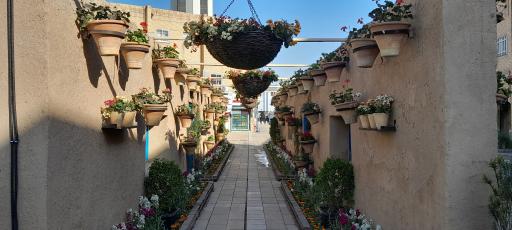 عکس درب هفده شهریور بازار رضا