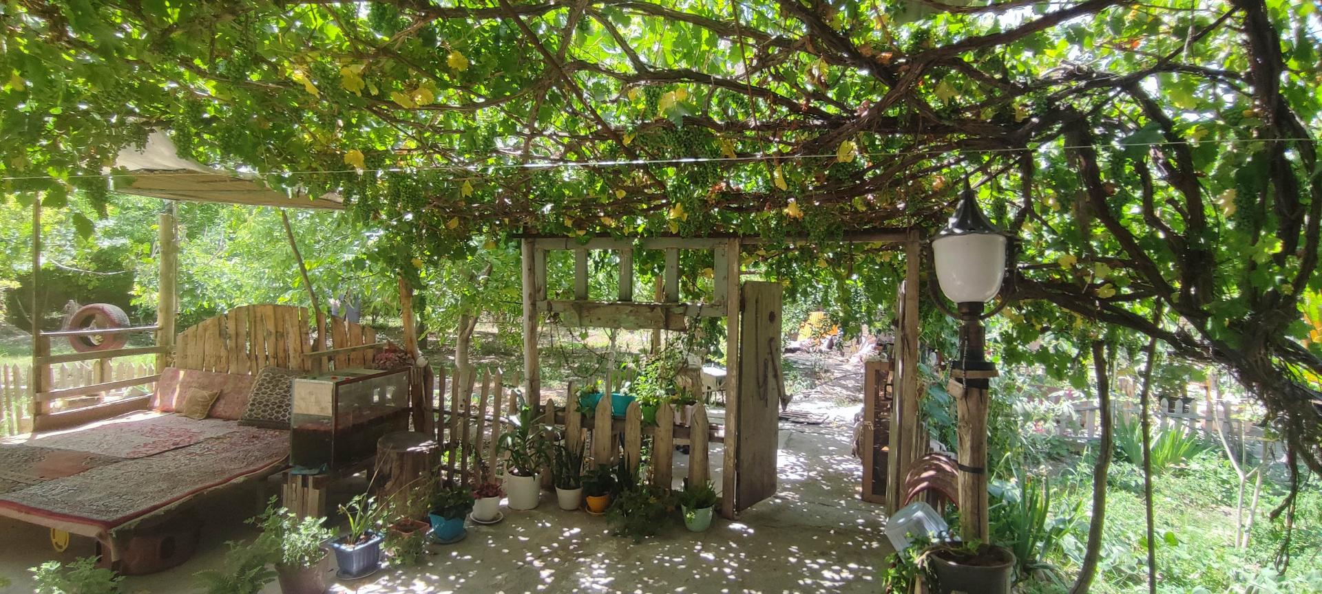 عکس اقامتگاه خونه باغ