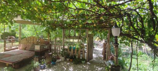 عکس اقامتگاه خونه باغ