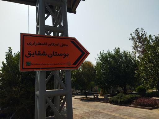 عکس بوستان شقایق