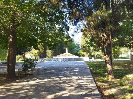 عکس بوستان شقایق