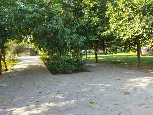 عکس بوستان شقایق