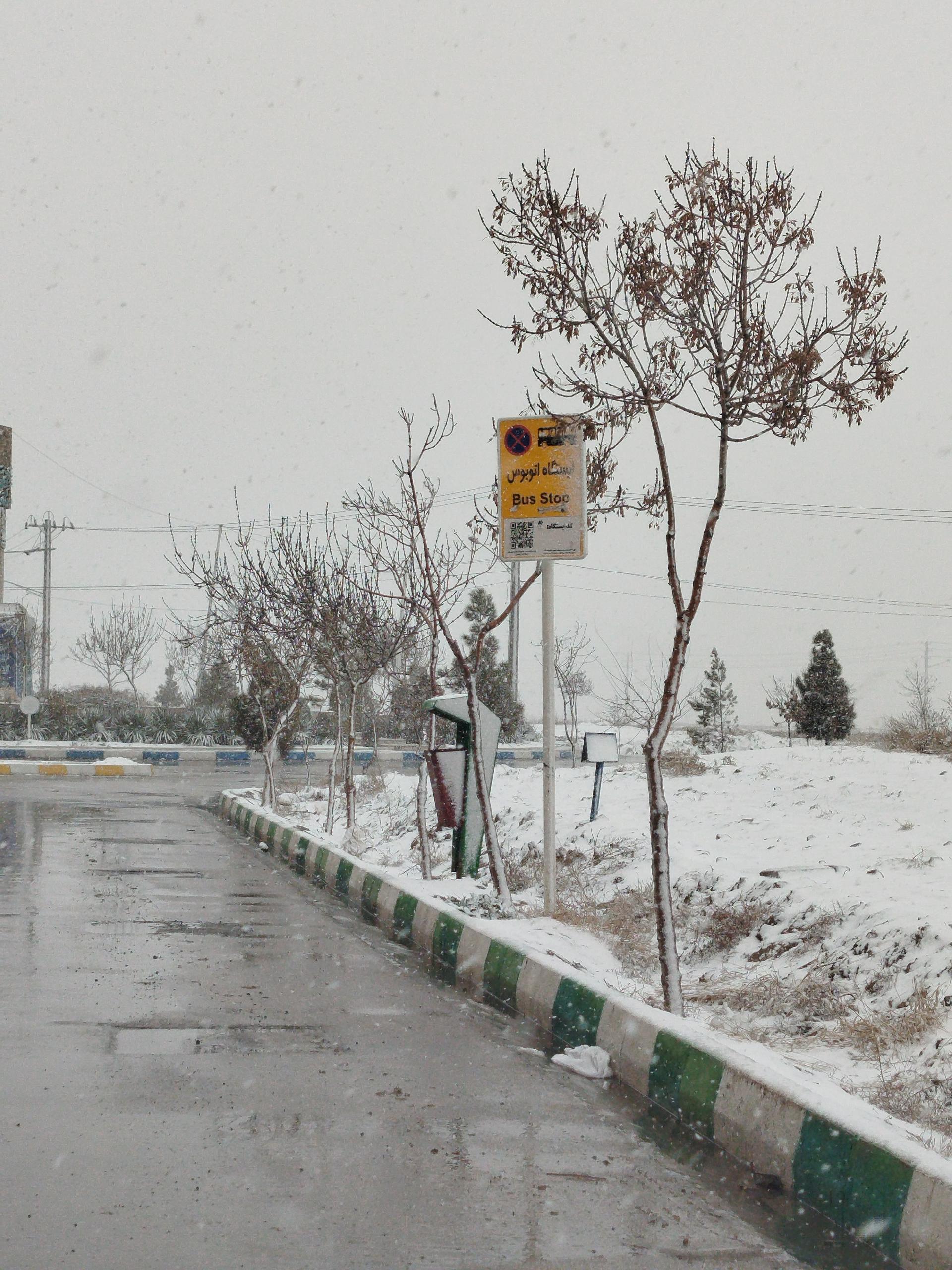 عکس  میدان ولی عصر (عج)