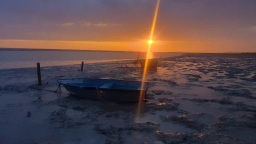 عکس دهکده توریستی بوشهر