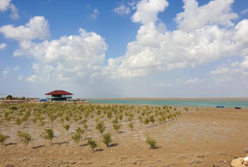 عکس دهکده توریستی بوشهر