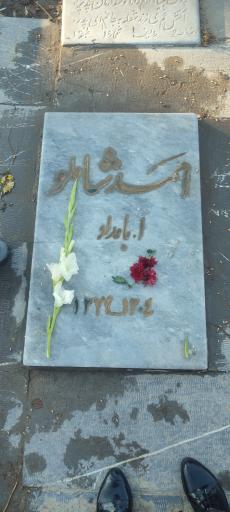 عکس آرامگاه احمد شاملو
