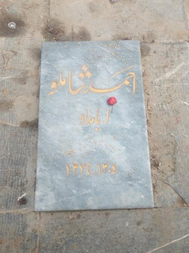 عکس آرامگاه احمد شاملو