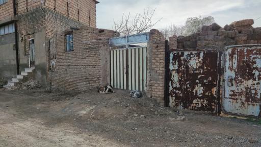 عکس دامداری برادران مهدوی کیا