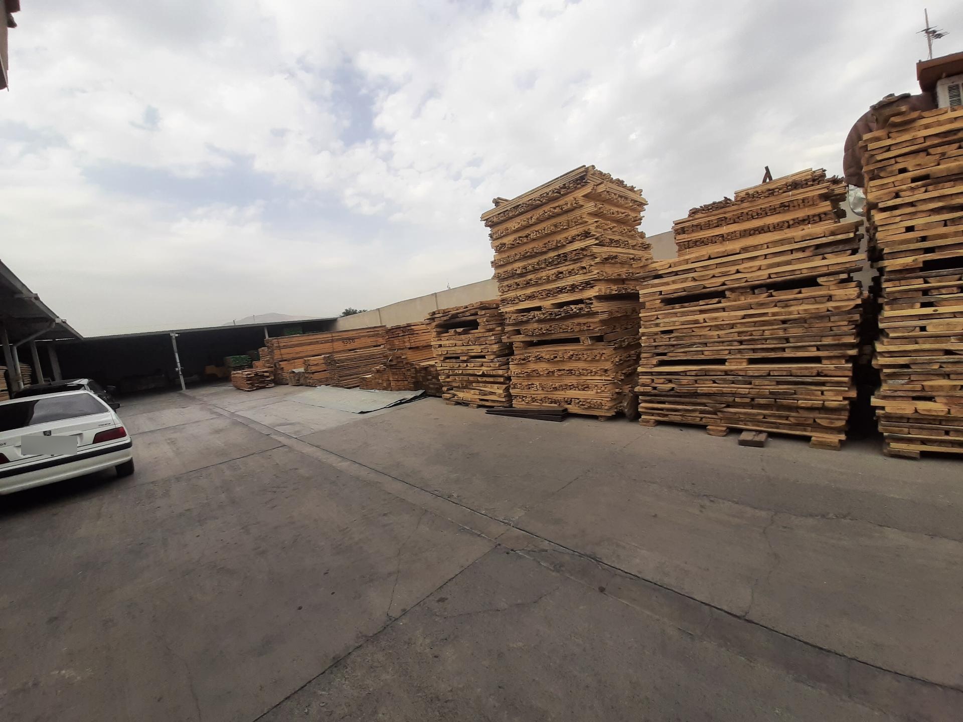 عکس چوب فروشی خزان