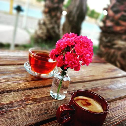 عکس ساندویچ ممتاز