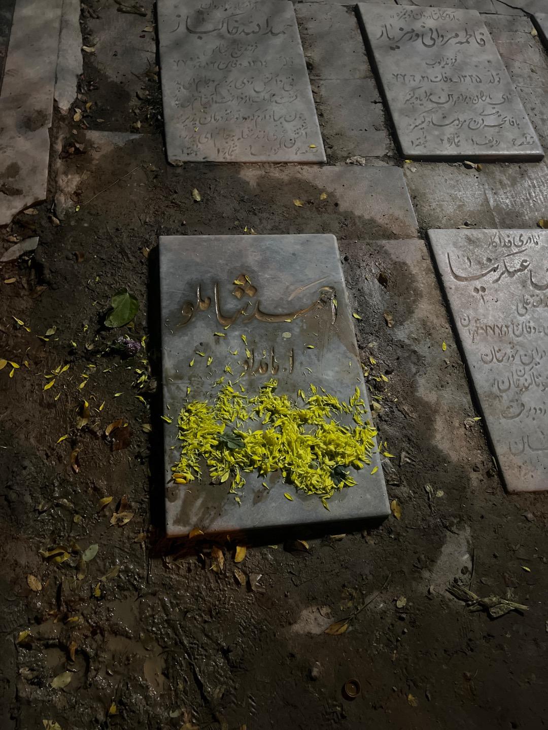 عکس آرامگاه احمد شاملو