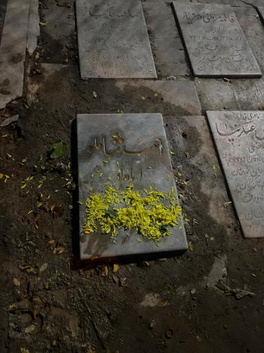 عکس آرامگاه احمد شاملو