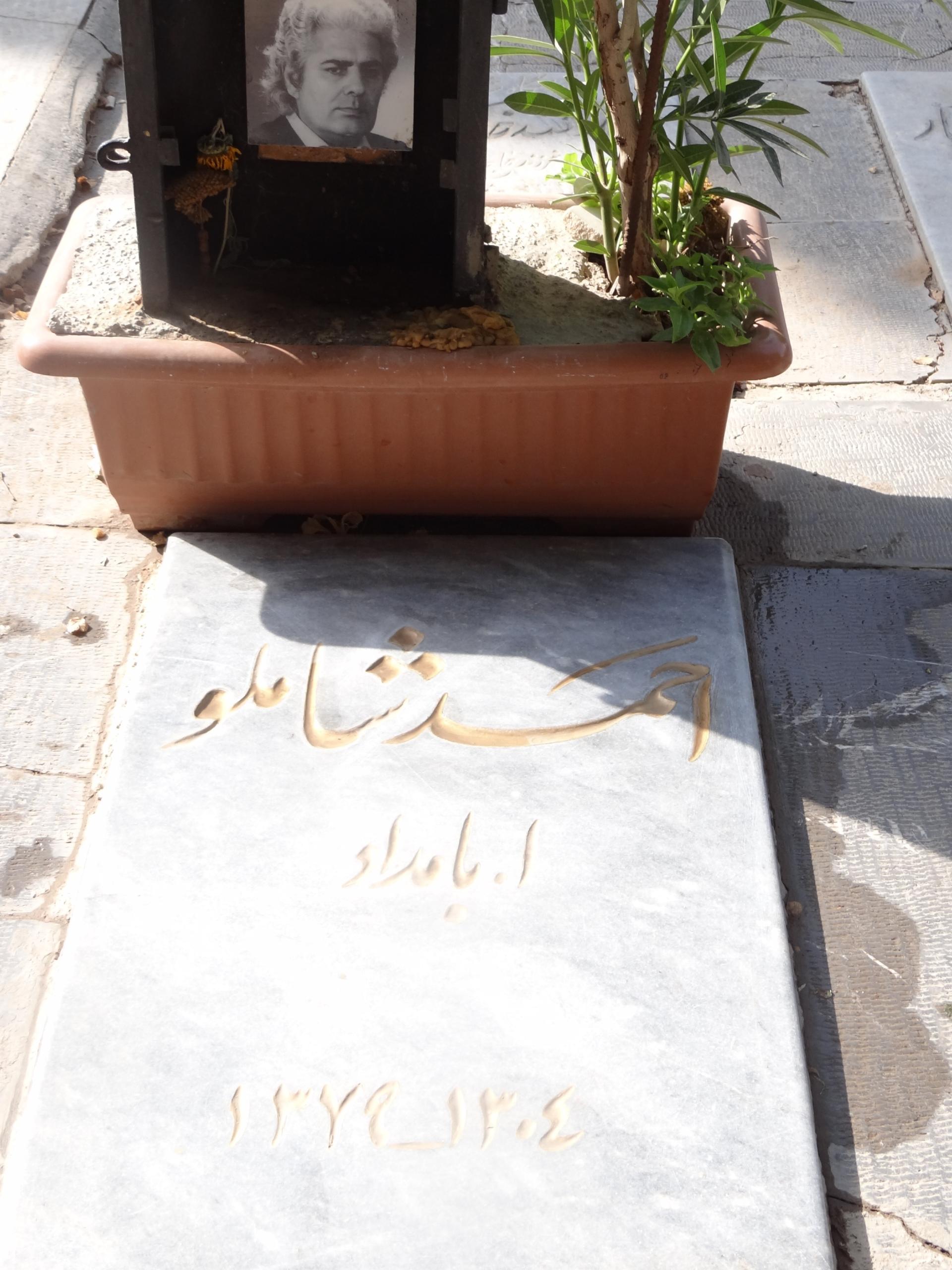 عکس آرامگاه احمد شاملو