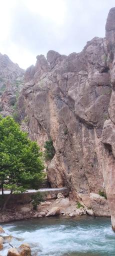 عکس چشمه ناز ونک سمیرم