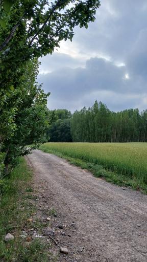 عکس پارک بولاغلار نیر