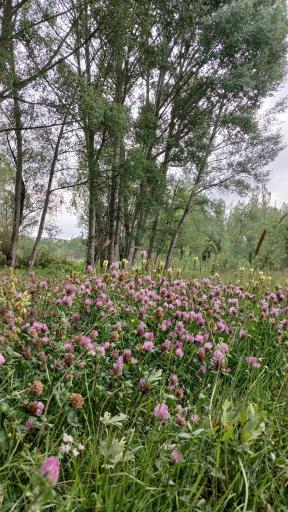 عکس پارک بولاغلار نیر