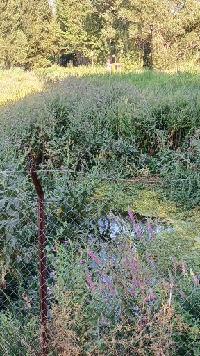 عکس پارک بولاغلار نیر