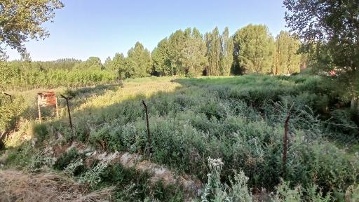 عکس پارک بولاغلار نیر