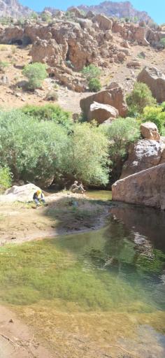 عکس چشمه ناز ونک سمیرم