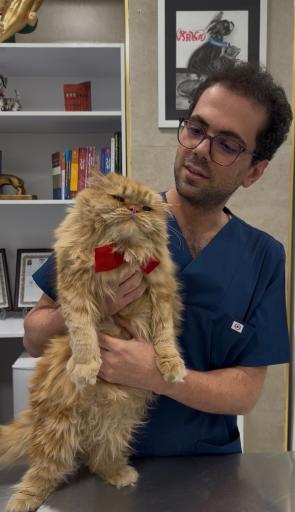 عکس کلینیک دامپزشکی و پت شاپ ارکا