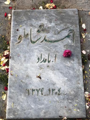 عکس آرامگاه احمد شاملو