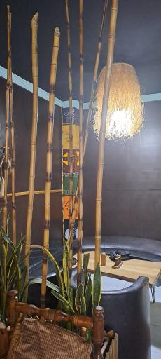 عکس کافه بی قبیله