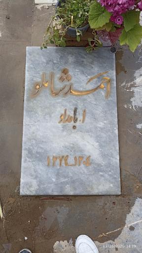 عکس آرامگاه احمد شاملو