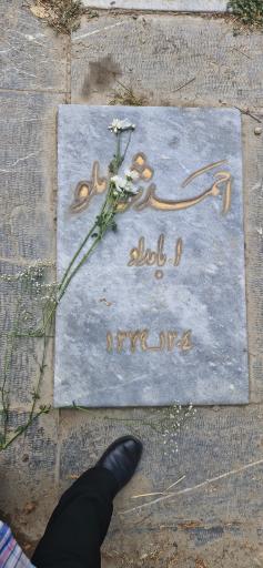 عکس آرامگاه احمد شاملو
