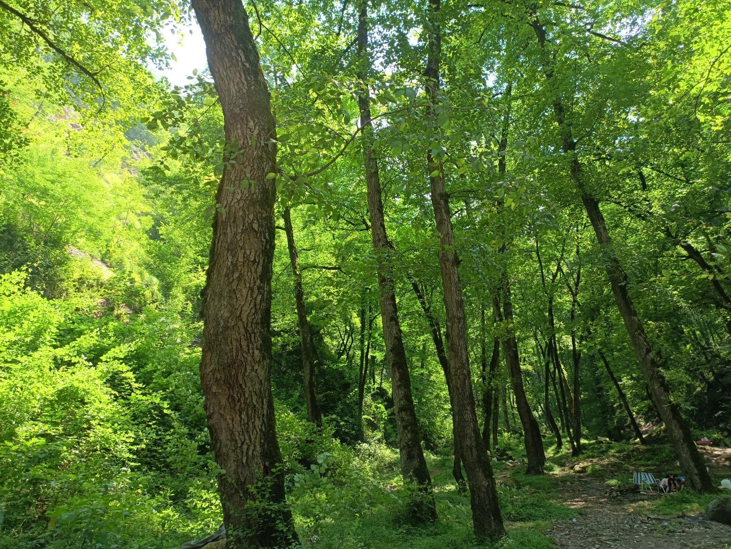 عکس آبشار آب پری