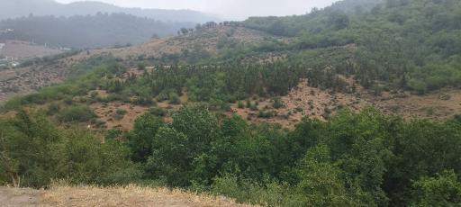 عکس آبشار آب پری