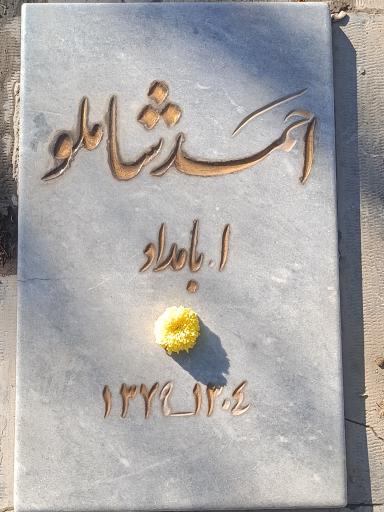 عکس آرامگاه احمد شاملو