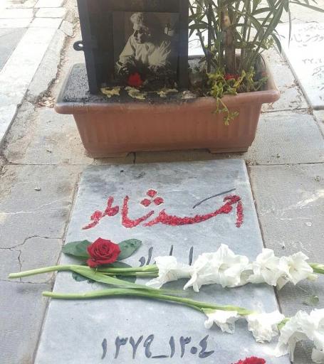 عکس آرامگاه احمد شاملو