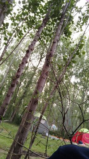 عکس پارک بولاغلار نیر