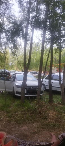 عکس پارک بولاغلار نیر