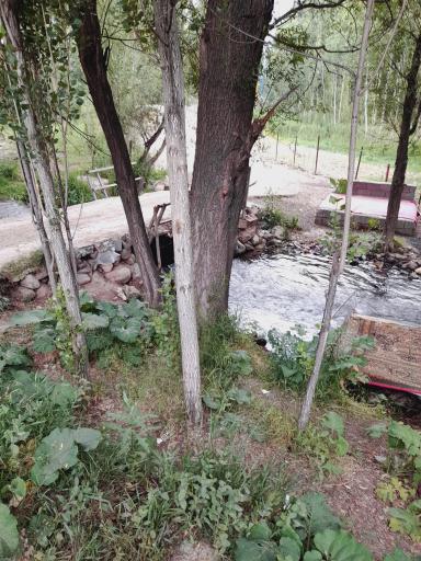 عکس پارک بولاغلار نیر