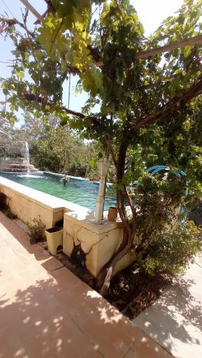 عکس باغ و گلخانه شهریار