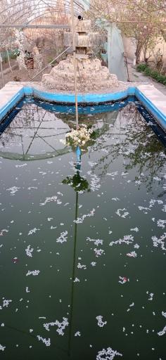 عکس باغ و گلخانه شهریار